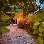 Olszynowy Dwor Bed & Breakfast Zwola Poduchowna
