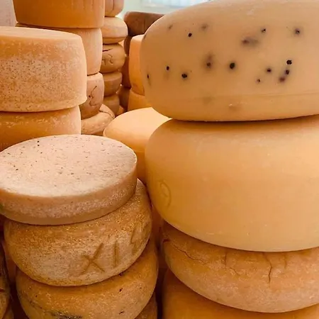 Olszynowy Dwor Zwola Poduchowna