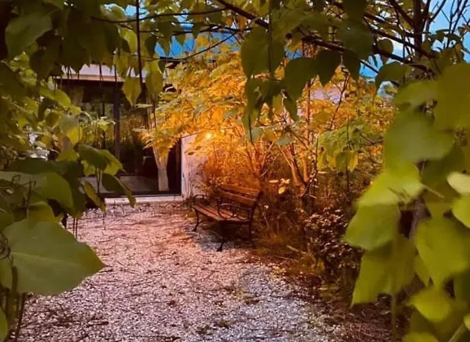 Olszynowy Dwor Bed & Breakfast Zwola Poduchowna