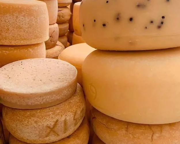 Olszynowy Dwor Zwola Poduchowna